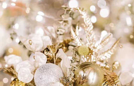 17729-.十二星座配對？b星