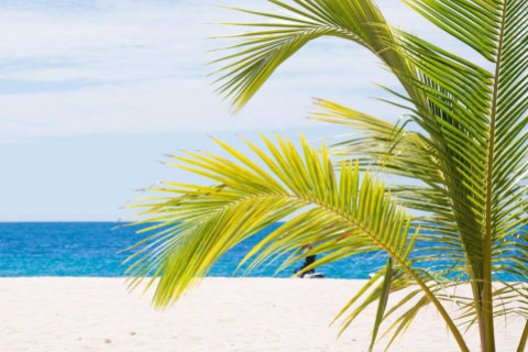 可愛溫柔還有點(diǎn)甜的網(wǎng)名合集 墜入星河的網(wǎng)名