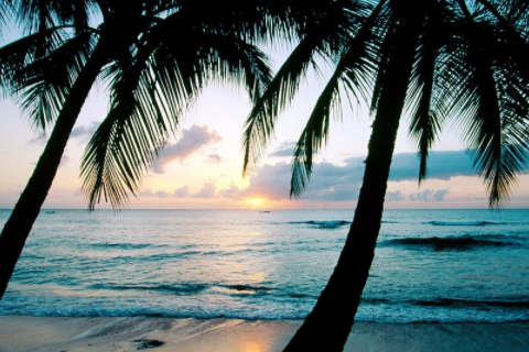 哪款水晶招財(cái) 女人戴什么招財(cái)最靈驗(yàn)