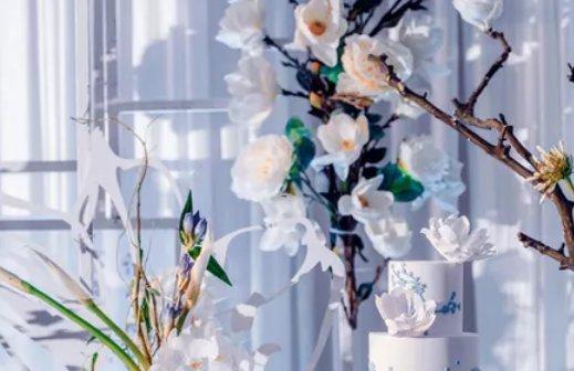 19823-.喜歡小清新星座男 19823-.喜歡小清新星座男