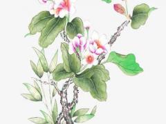 含可字女孩名字