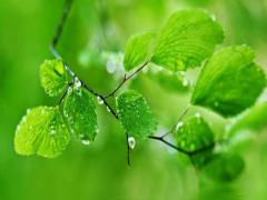 夢見偷鑰匙是什么意思