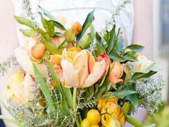 愛美女的星座男