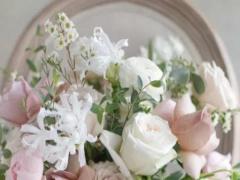 奧林匹斯十二星座