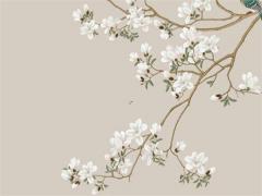 不運動會死星人