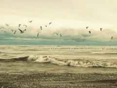 夢見鞋丟了找不到