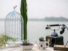 屬于十二星座的明星