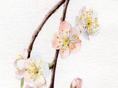 胖女孩起抖音名字