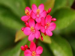 夢見畫舫浮在空中是什么意思