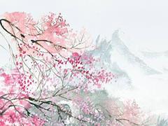 生肖虎取什么名字好