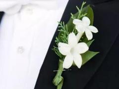 這三大星座天生自帶透明體質