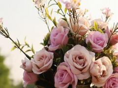 天上的星星星座