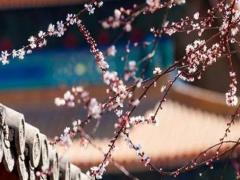 怎么通過生辰八字取名字