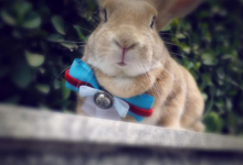 好的面相是什么樣子 有福氣的面相特征