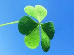 夢見門牙斷了是什么意思