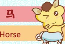 屬馬的人適合獨(dú)資還是合伙?需要找合適的幫手