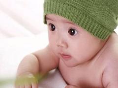 好聽的軍犬名字