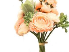 人狠路子野的星座有哪些