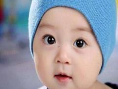 園林綠化好聽的名字