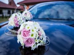 天秤最配的星座