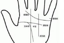 智慧線的長度怎么看?過長和很短分析