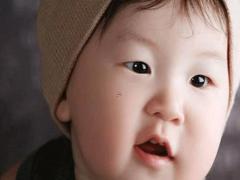 古代李字旁有一只虎是什么意思