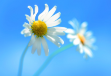 罕見浪漫二字網(wǎng)名情侶 溫柔到骨子里的情侶2字網(wǎng)名