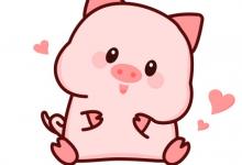 屬豬男的愛情觀:舉案齊眉,相互尊重