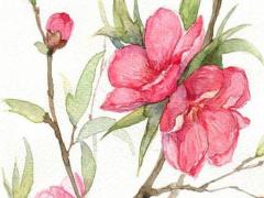 有關(guān)達字好聽的名字