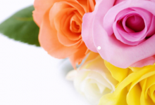 已經(jīng)結(jié)婚了又夢(mèng)見結(jié)婚 夢(mèng)見兩口子又結(jié)了一次婚