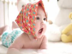 好聽(tīng)的海豚名字