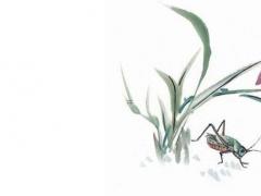 屬虎男孩最吉利的名字 屬虎人取什么名更旺運