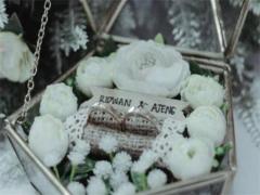 相對于物質，這些星座更專注于修養