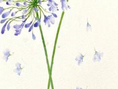 起名大全免費取名男孩起名