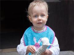 夢見動物變成妖精是什么意思