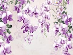 63歲屬兔死于哪一年 63歲屬兔人的壽命有多久