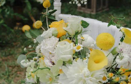 4368-.因為別人的惡意而否定自己的星座