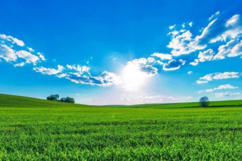 夢見刮風特別大是什么意思 夢見刮風刮到屋子里