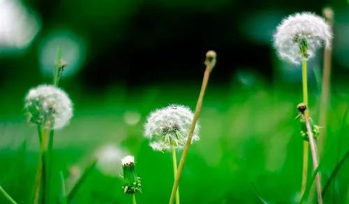 1653-.夢見摩托車著火是什么意思 1653-.夢見摩托車著火是什么意思