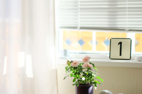 半夜門口有貓叫是吉還是兇 貓半夜叫必須注意什么