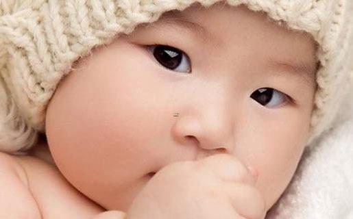 16742-.帶有木的字好聽的名字 16742-.帶有木的字好聽的名字