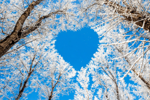 50屬虎一生三大劫難 50屬虎人的災難年齡