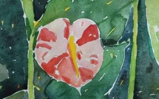 17896-.2022屬虎女孩子取名字