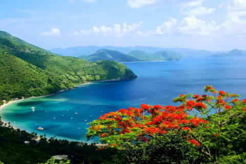 豬和虎合不合財運 豬和虎相配婚姻如何