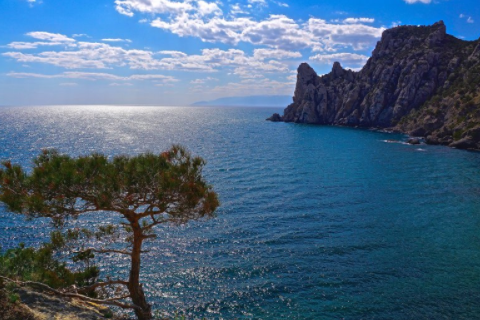 小葉紫檀風水上適合家養嗎 小葉紫檀的寓意和象征