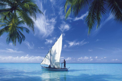 龍和猴相配婚姻如何 龍和猴在一起有財(cái)運(yùn)嗎