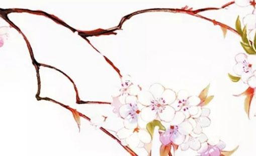 14528-.好聽的姚姓女孩名字