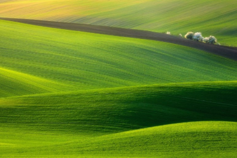 狗和龍屬相合不合 狗和龍怎樣才能不相沖
