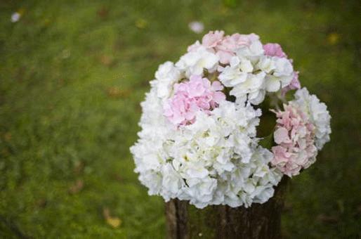 6793-.十二星座代表的奶 6793-.十二星座代表的奶