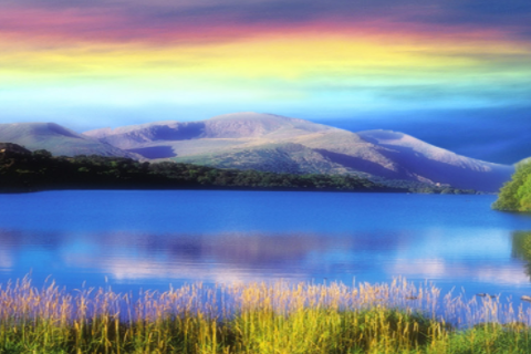 女人左手斷掌什么命運 斷掌女人真的就命苦嗎